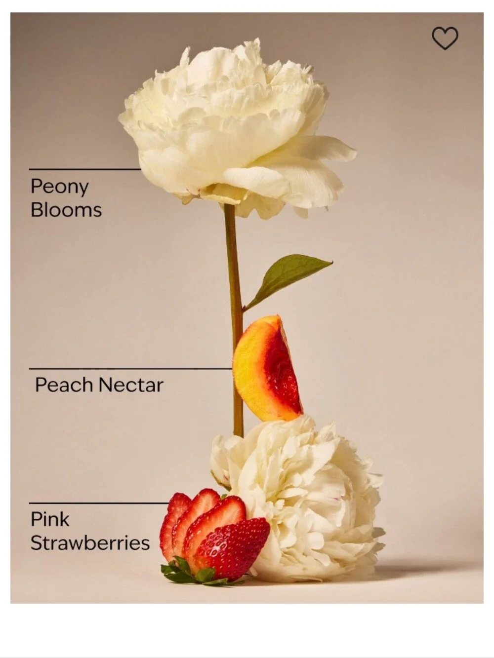 Bath & Body Works light fragrance